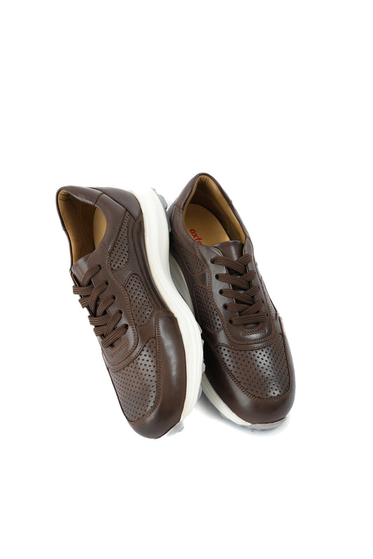 Dotted Verne Sneakers Brown