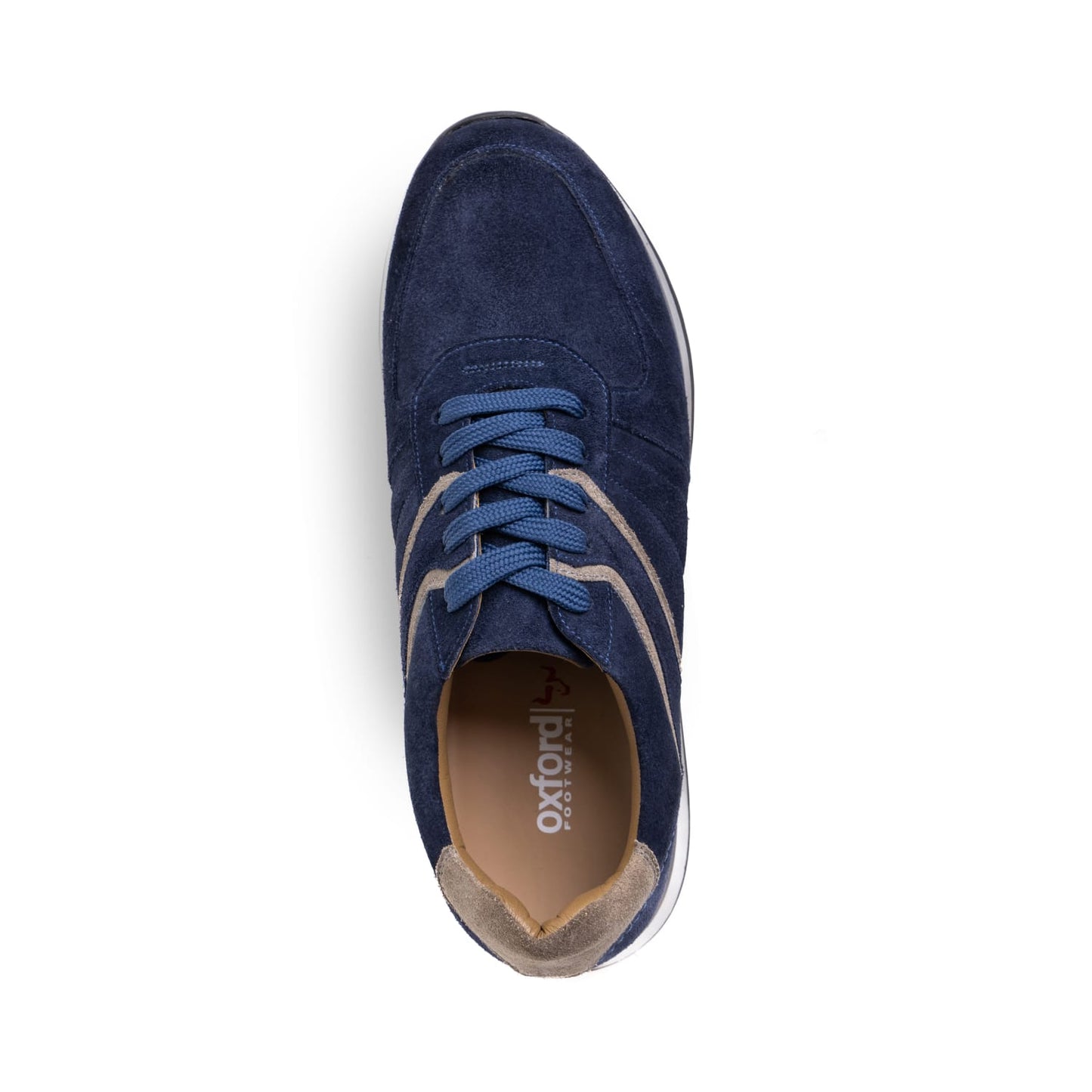 Teddie Suede Sneaker Blue