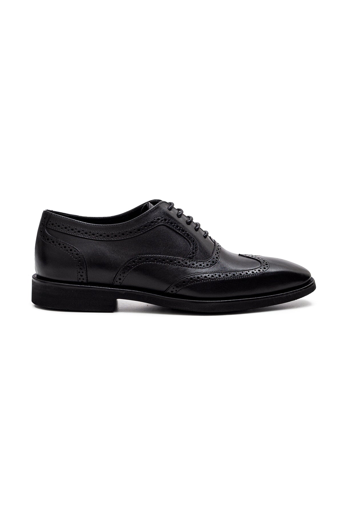 Wingtip Oxford