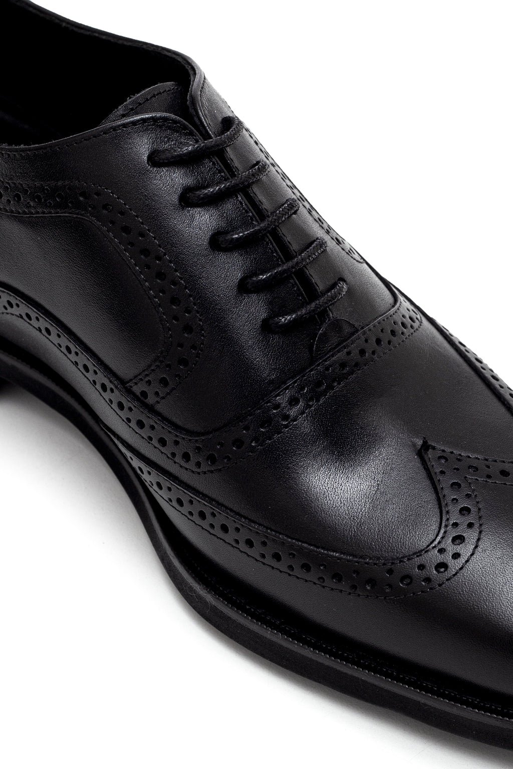 Wingtip Oxford
