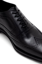 Wingtip Oxford