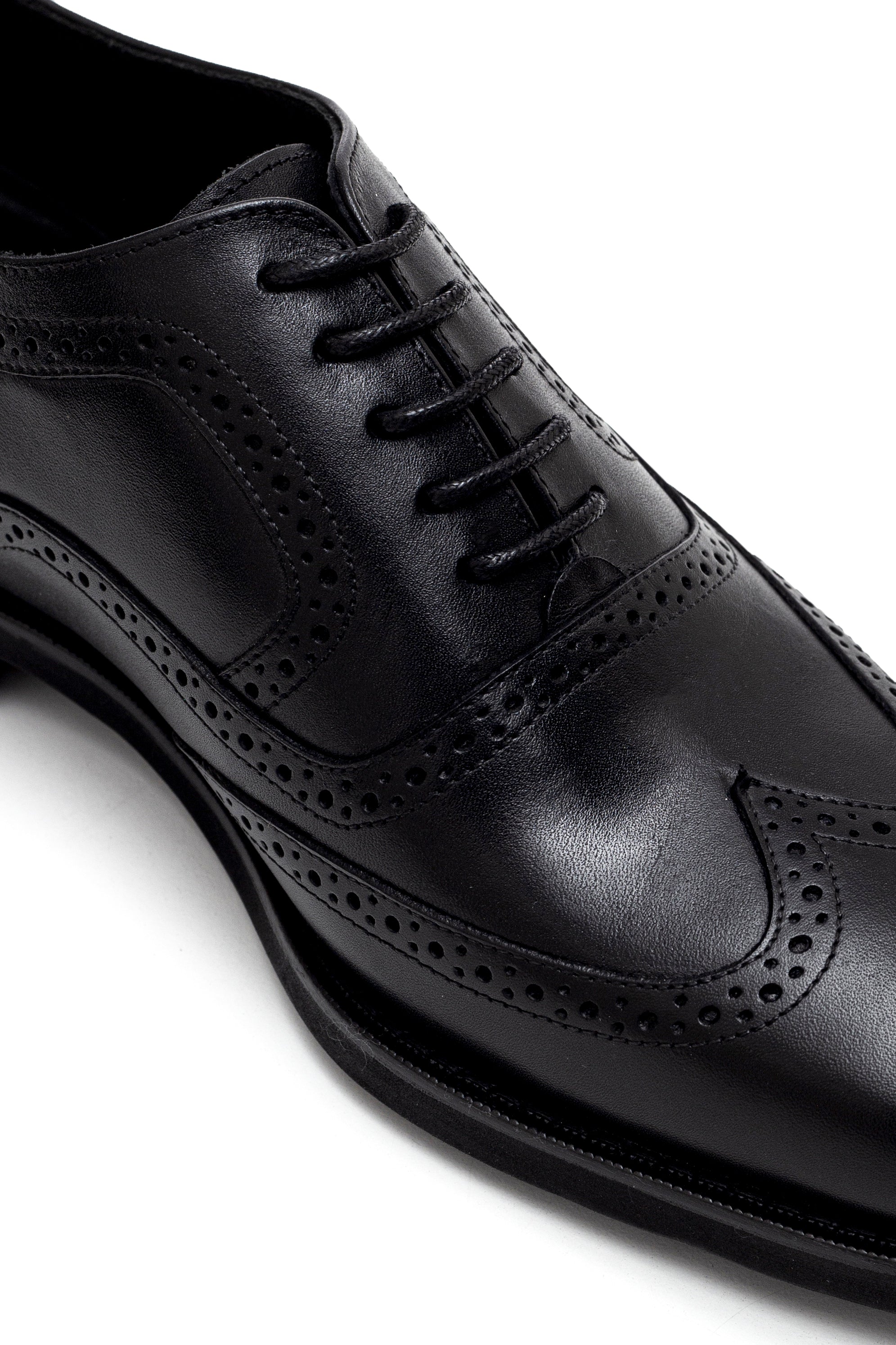 Wingtip Oxford
