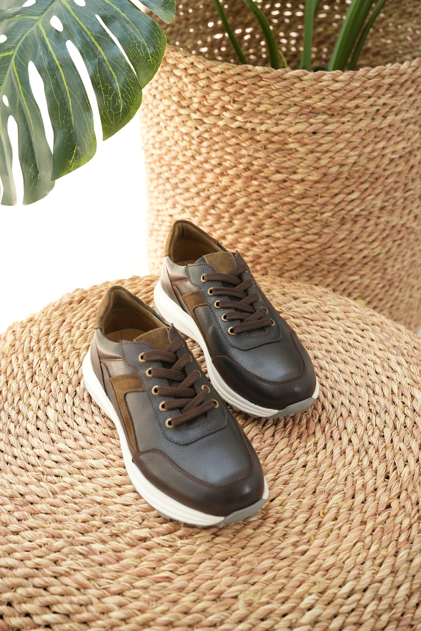 Dashline Sneakers Brown