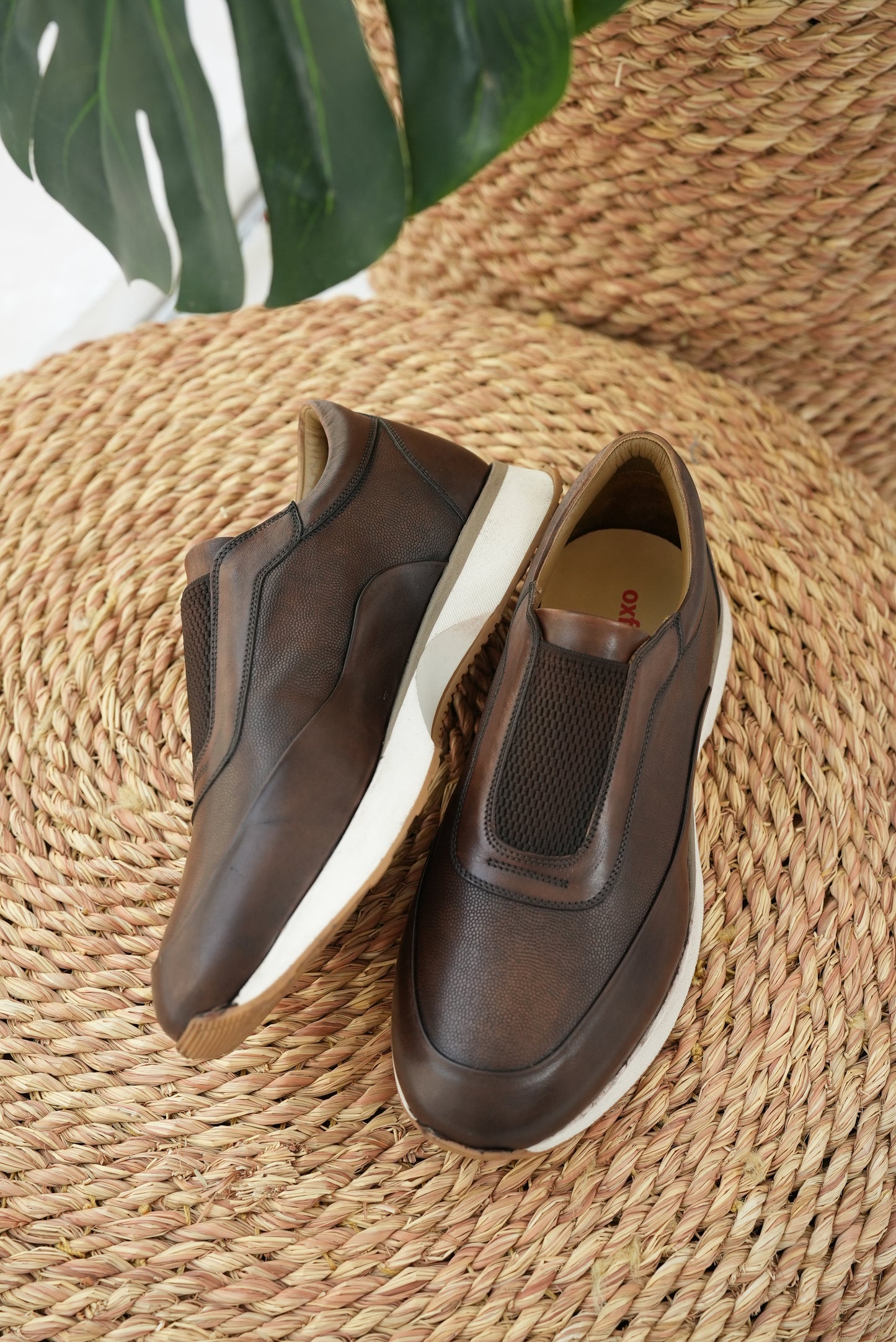 Elastic Sneakers Brown