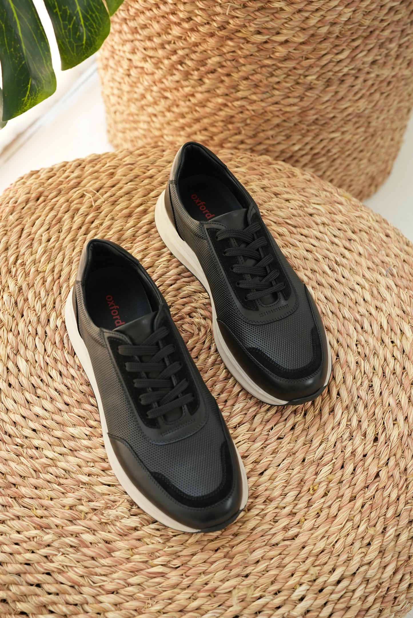 Polka Sneakers Black