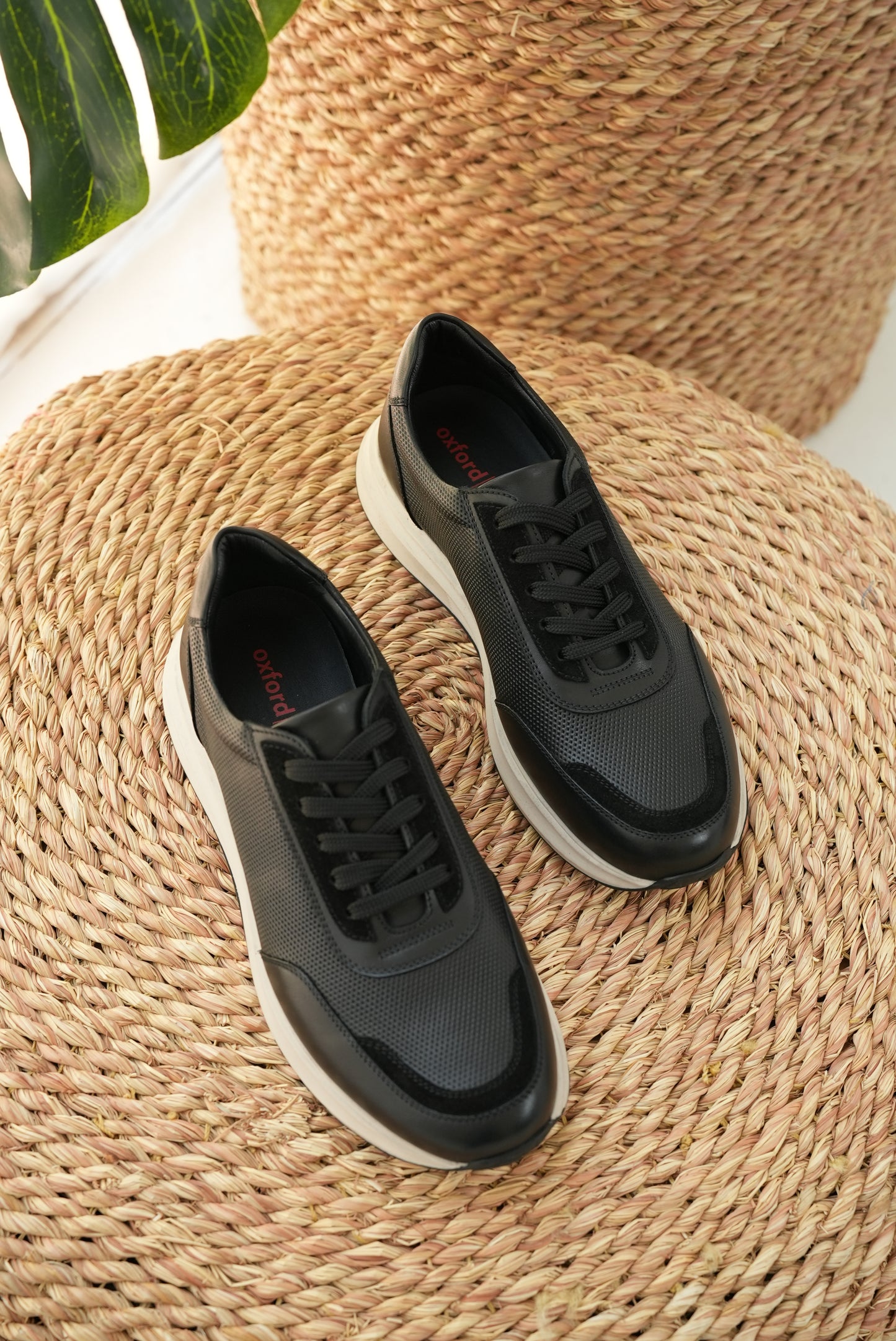 Polka Sneakers Black