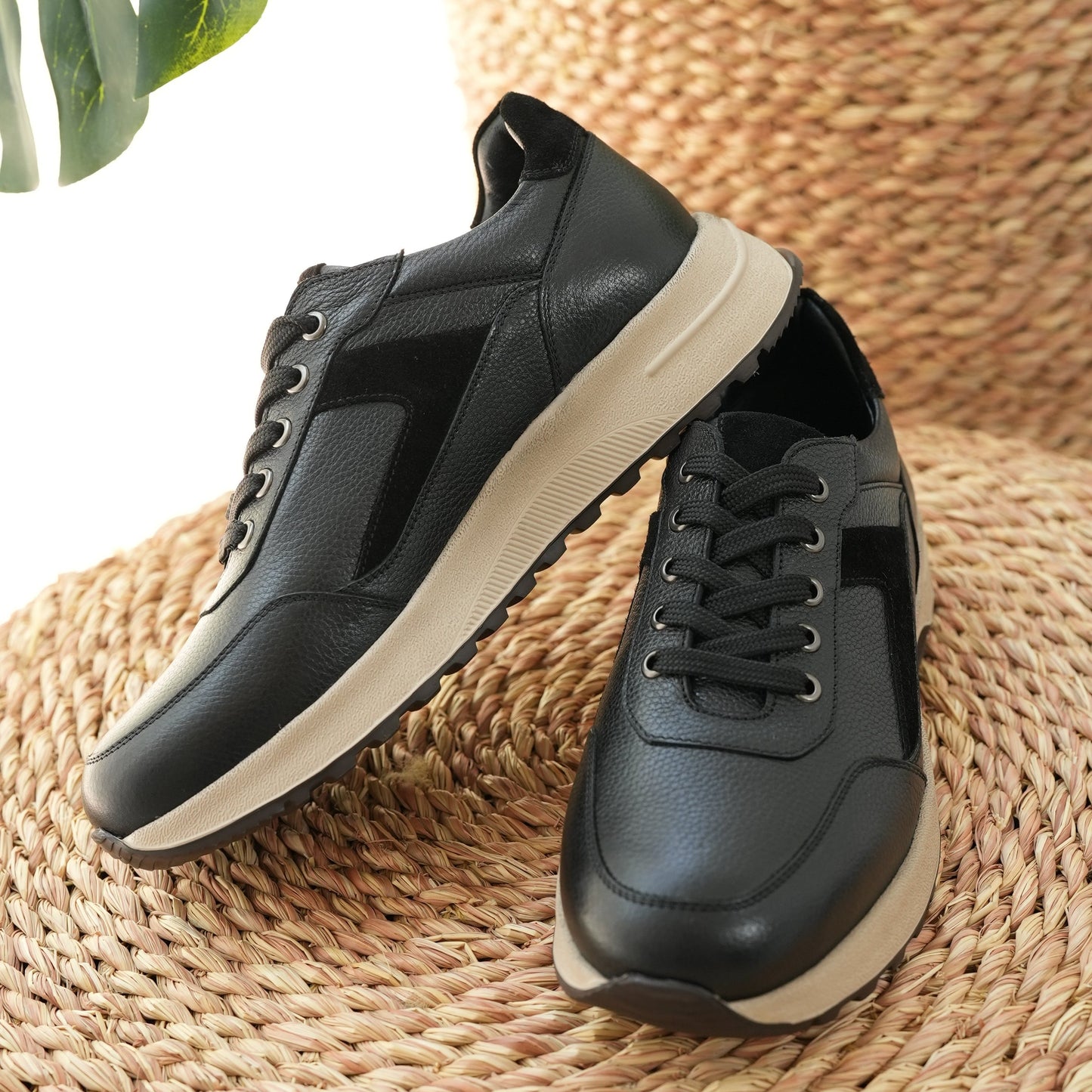 Dashline Sneakers Black