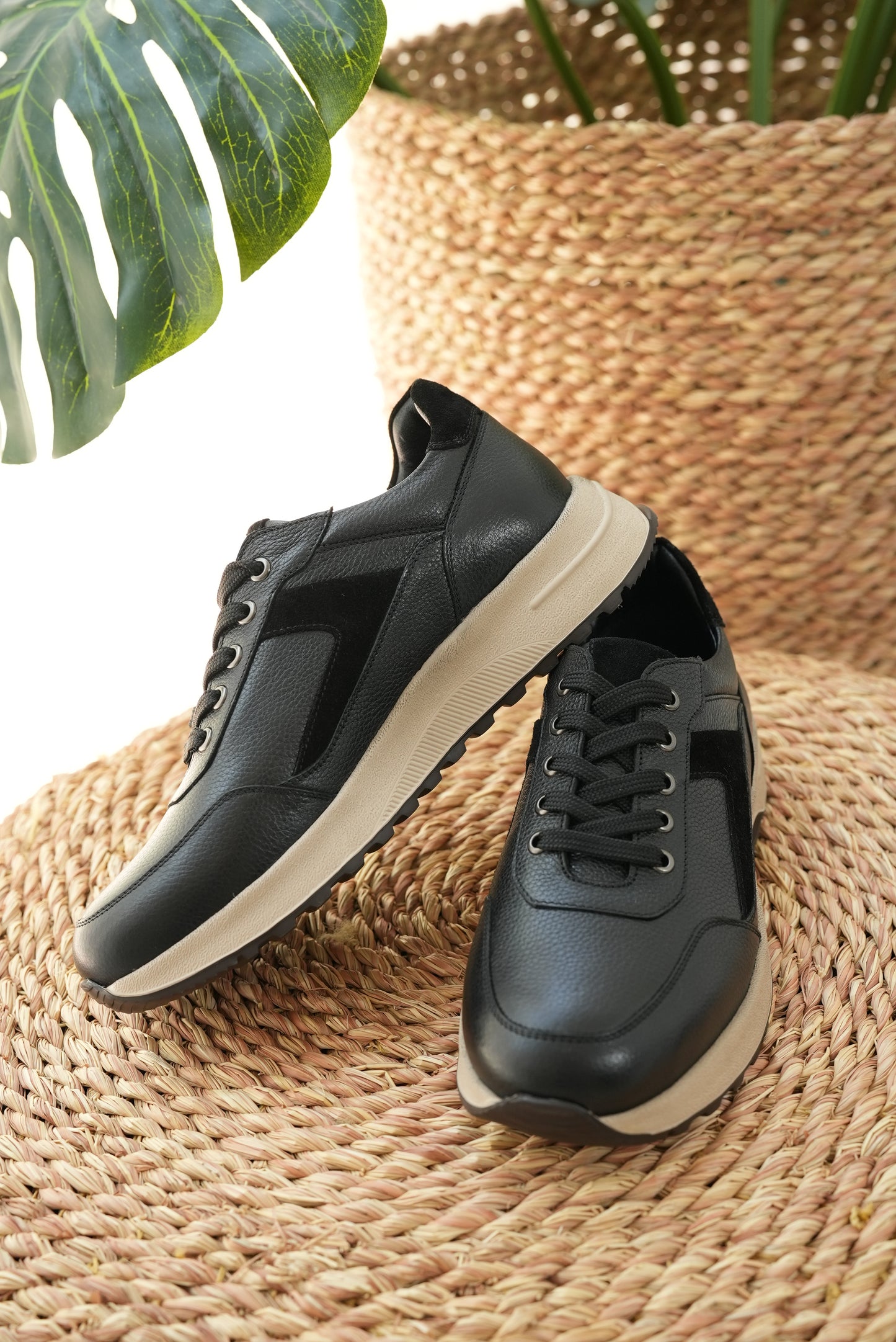 Dashline Sneakers Black