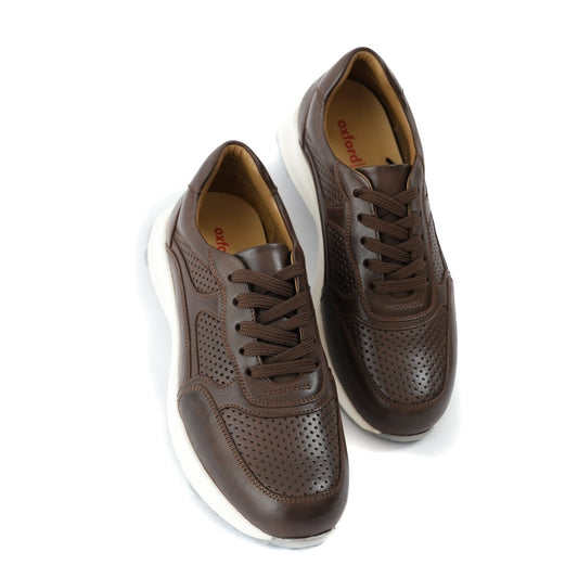 Dotted Verne Sneakers Brown