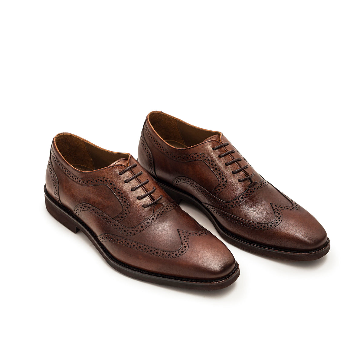 Wingtip Oxford