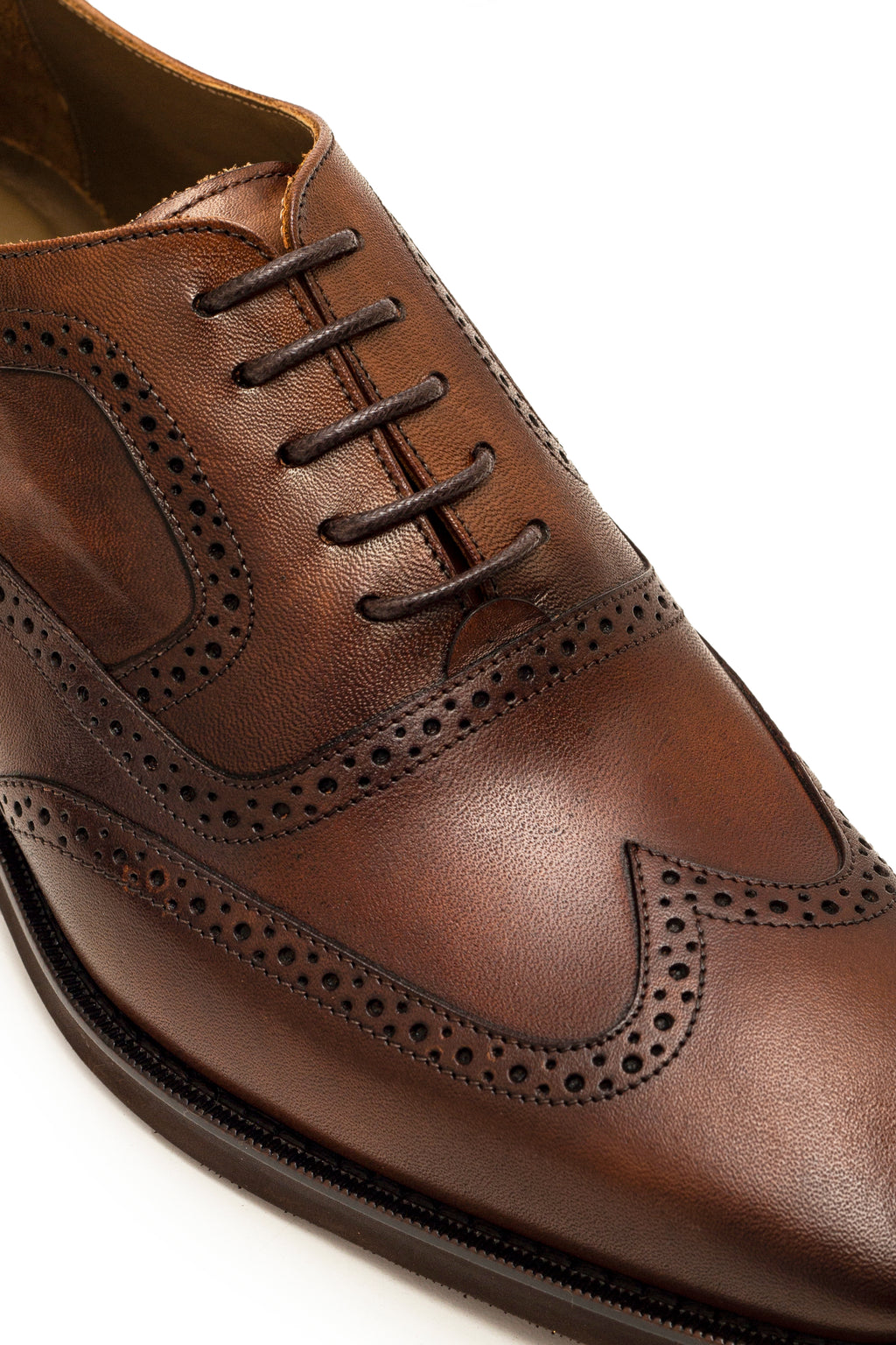 Wingtip Oxford